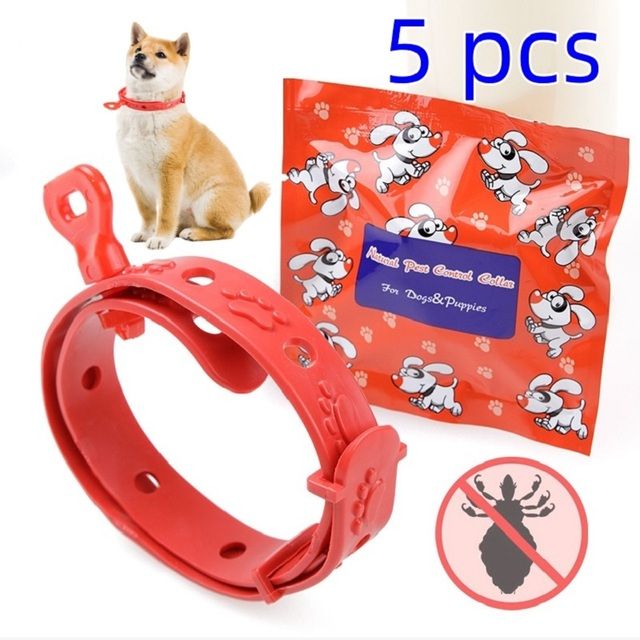 5 Pcs/lot, Retractable Dog Collars, 8 Months By PawParty Store_voghion.com