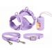 Waterproof Adjustable Pet Collar Harness Three-Piece Set Dog Leash_voghion.com