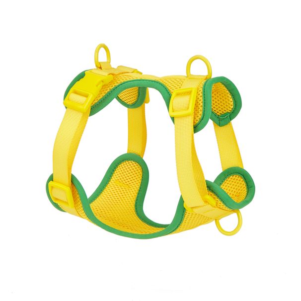 Jauns maza un vidēja izmēra mājdzīvnieks, ērts, elpojošs, kaķa mugura, kaujas suņu krūšu siksna_voghion.com