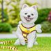Little Bee Cute Cartoon Pet Vest-Style Harness Outdoor Dog Walking Leash For Small Dogs_voghion.com
