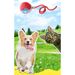 Pet Toy Cat Puppy Boredom Relief Automatic Rolling Electric Smart Walking Teaser Dog Artifact_voghion.com