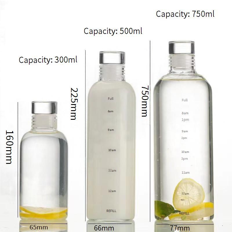 Time Marked Borosilicate Glass Water Bottle - Motivational Hourly Tracker With Measurement Lines For Students​_voghion.com