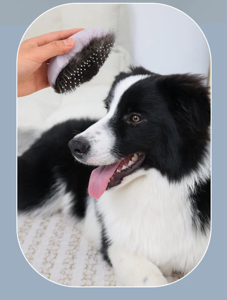 Pet products, pet hair removal, bathing brushes, dogs, cats, bathing cleaning products, bathing massage combs, steel needle brushes_voghion.com