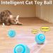 Jouet interactif, jouet d'entraînement pour chatons, balle électrique pour chat, jouets lumineux, balle magique intelligente rechargeable par USB, par PawParty Store_voghion.com