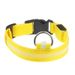 LED-Haustierleine, wiederaufladbar, USB-Hals, Ganzkörper-Leuchthalsband für Hunde_voghion.com