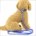 Durable Nylon Dog Leash By PawParty Store_voghion.com