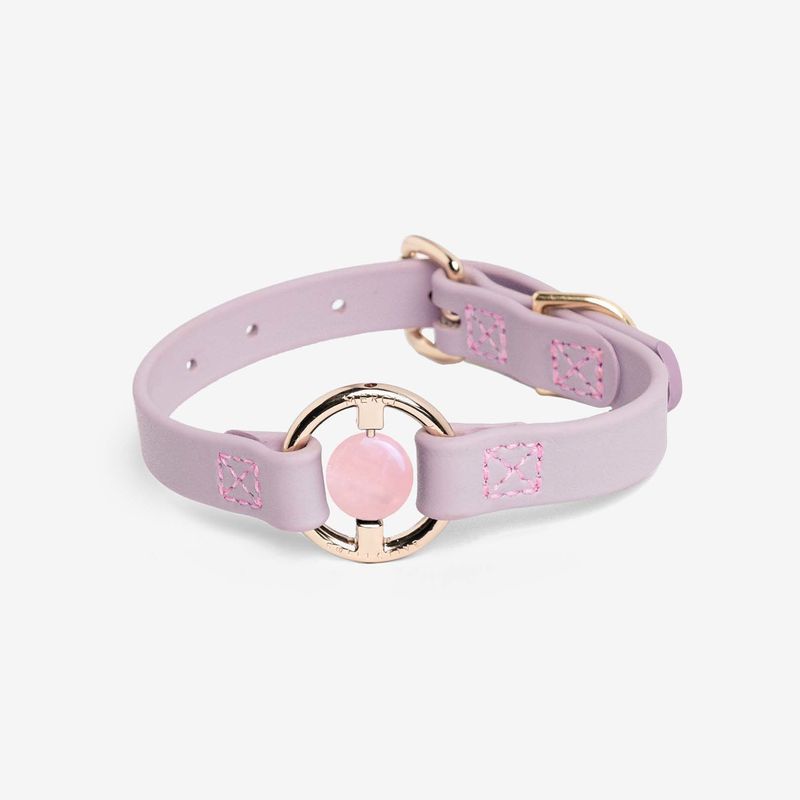 Luxury Spill-Proof Dog Collar Embedded with Healing Crystal_voghion.com