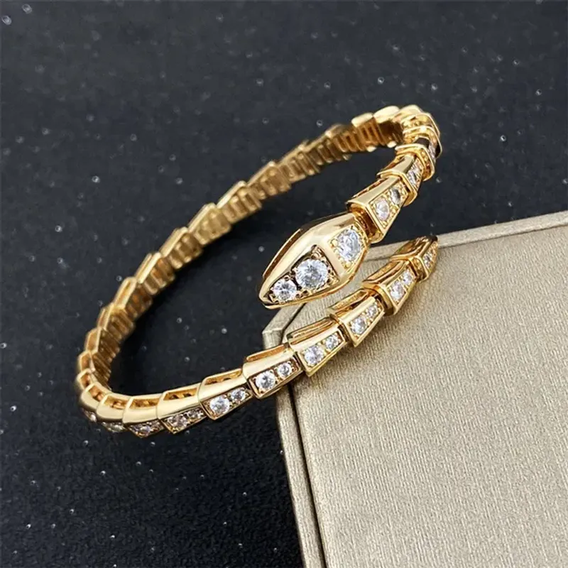 Golden Womens Stainless Steel Diamond Sky Star Couple Fashion Snake Bone Bracelet Gift Accessories Wholesale_voghion.com