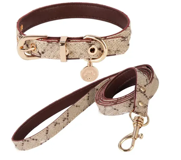 PU Letter Back Leashes Leather Teddy Collar Out Walking Dog Leash Cat Designer Flower Pet Supplies_voghion.com