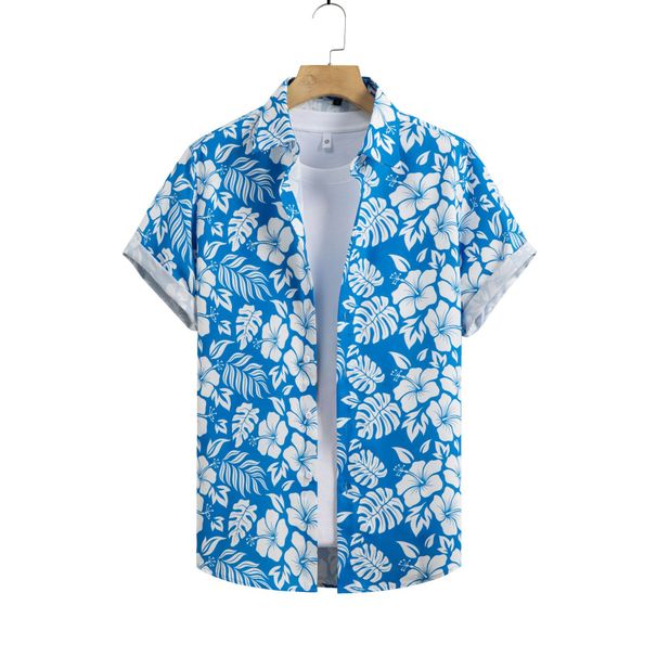 Herrenbekleidung Heißer Verkauf Hawaiian Style Loose Zweiteiler Mischreihe_voghion.com