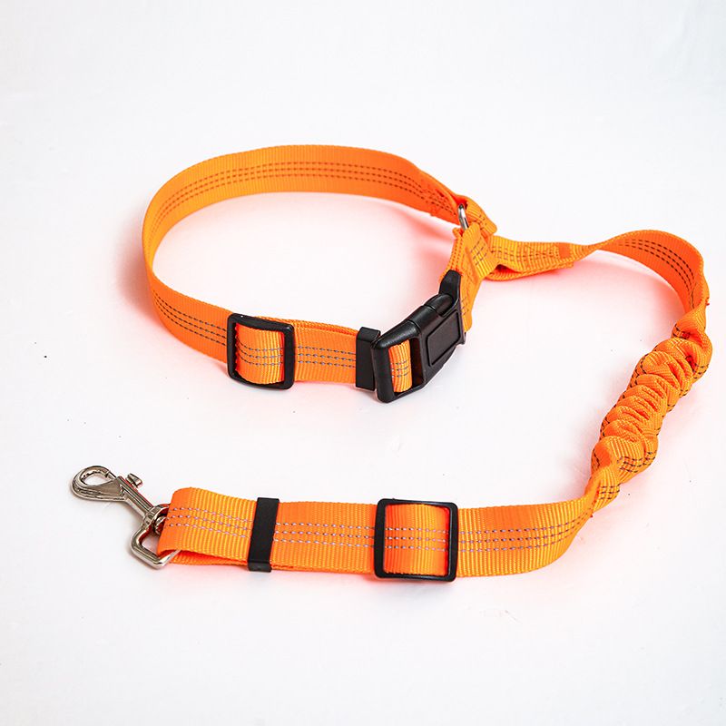 Autosicherheit Hohe Elastizität Einziehbare Reflektierende Hundeleine Heimtierbedarf_voghion.com