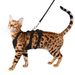 New Cat Leash Pet Kitten Solid Color Breathable Dog Harness Set_voghion.com