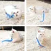 Tongyue Feather Cat Toys By PawParty Store_voghion.com