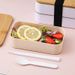 Reusable Bento Lunch Box Set With Insulated Bag - Microwave Safe, Leak-Proof, Eco-Friendly PP Plastic For Office, School_voghion.com