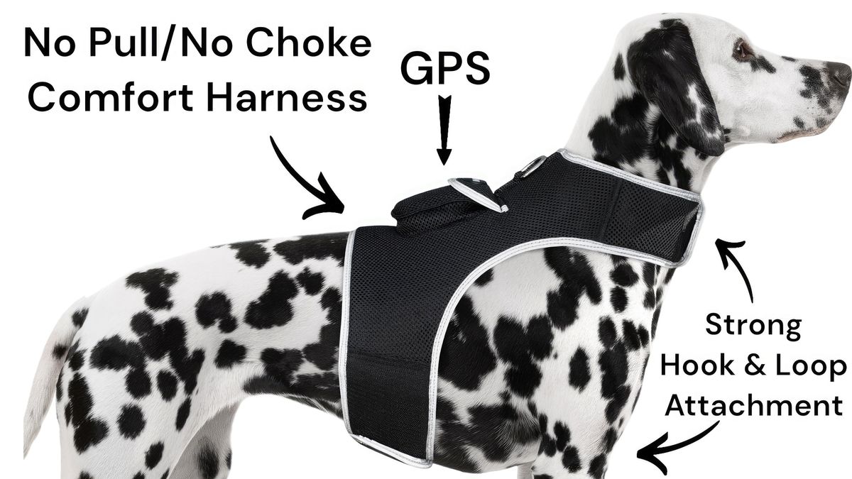 Waterproof Collar Mount GSM GPS Lost Pet Locator Minii Tracking Device Size:S_voghion.com