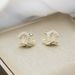 New style zircon encrusted double C small fragrant style earrings, high end, light luxury and versatile earrings for women, fashion jewelry_voghion.com
