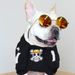 Trendy Brand Halloween Skull Autumn Winter Warm Core-spun Yarn Pullover Cute French Bulldog Pug Pet Sweater Dog Clothes_voghion.com