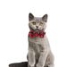 Classic Red Green Christmas Snowflake Cat Collar With Bell And Adjustable Bow Tie_voghion.com