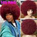 Short Afro Curly Human Hair Wig - African Texture, Heat Resistant, Glueless (Natural Black, Ready To Wear)_voghion.com