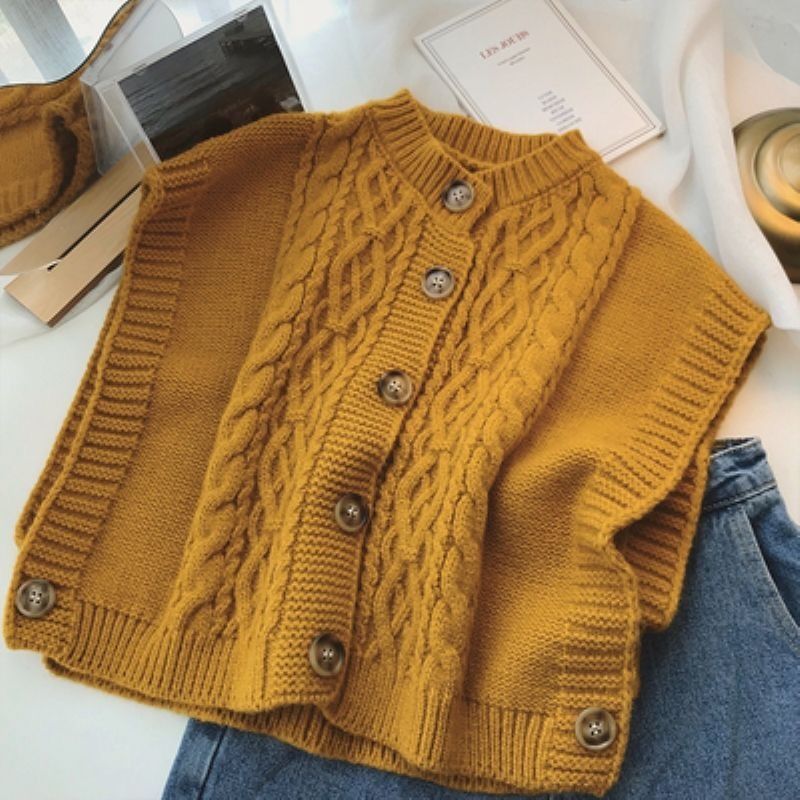 Spring and Autumn 2022 New Fried Dough Twists Sweater Vest Women's Design Sense Small crowd loose outer sleeveless_voghion.com