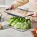 Boîte de conservation rectangulaire transparente en plastique pour fruits et légumes, idéale pour conserver la fraîcheur au réfrigérateur ou au congélateur._voghion.com