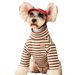 Abbigliamento per cani in stile primaverile e autunnale, intimo per Schnauzer, Teddy, Bichon, Shiba Inu, gatto, a due zampe, a righe alte_voghion.com