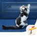 1 Roll Sofa Protection Pet Cat Scratcher Training Tape Climbing Accessories Anti-Bite Home Decoration By PawParty Store_voghion.com