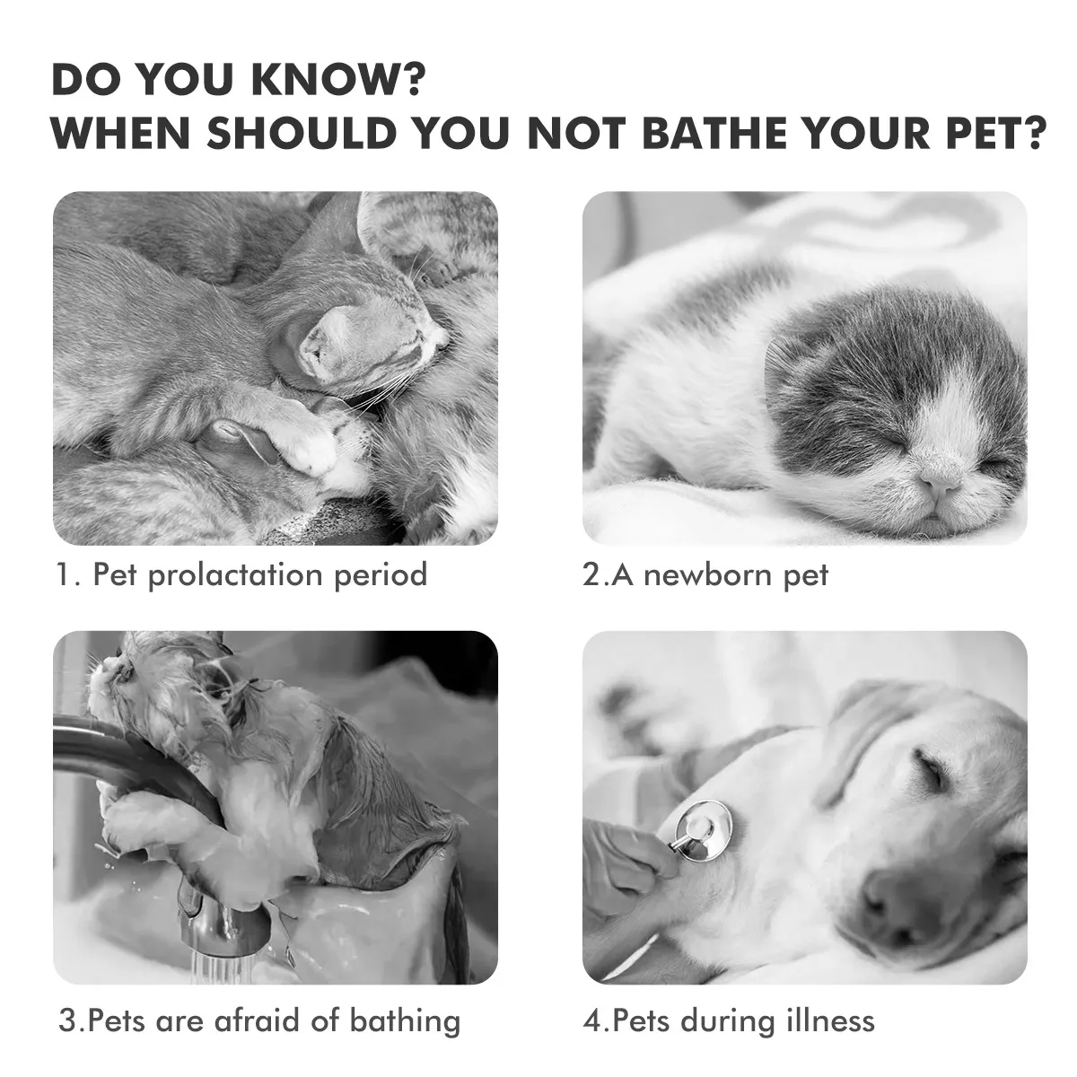 Pet Products Cat comb pet disposable foam dry cleaning brush special cotton towel to remove floating hair brush cat hair dog hair cleaner pet comb_voghion.com