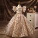 Kid's Clothing Champagne color princess dress girl tutu skirt children little host flower girl wedding little girl piano playing dress_voghion.com