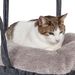 Pet Life Kittyhaus Dual-Lounger Kitty Cat Pillow Hammock Lounge_voghion.com