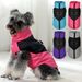 Holapet Waterproof Jacket For Dogs By PawParty Store_voghion.com