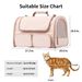 Cross-Border Air Box Small Dog Travel Portable Cat Breathable Large Capacity Pet Bag_voghion.com