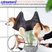 Hot Sale Pet Cat Grooming Hammock Helper Dog Hammocks Puppy Tools Dropshipping_voghion.com