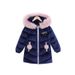 Jacket Korean Style Medium And Large Tongli Velvet Thickened Medium And Long Dragonfly Hand Stuffed Cotton Padded Jacket_voghion.com