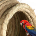 Straw Weaving Parrots, Lovebirds, Budgerigars, Pearl Finches, Bird Nest Breeding Box, Durable And Warm For Winter,_voghion.com