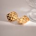 Advanced design, gold stainless steel texture, exaggerated earrings, INS women's fashionable and versatile earring_voghion.com