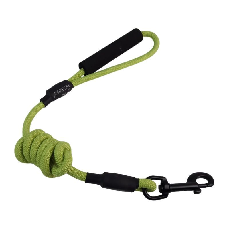 Novità per cani di piccola e media taglia, pettorina resistente in tinta unita, guinzaglio Teddy per passeggiate con il cane._voghion.com