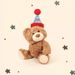 Mijn Lula Verjaardagshoed Cadeau Beer Verjaardagshoed Beer Pluche Speelgoed Teddybeer Verjaardagscadeau Carmful Beer Pop_voghion.com
