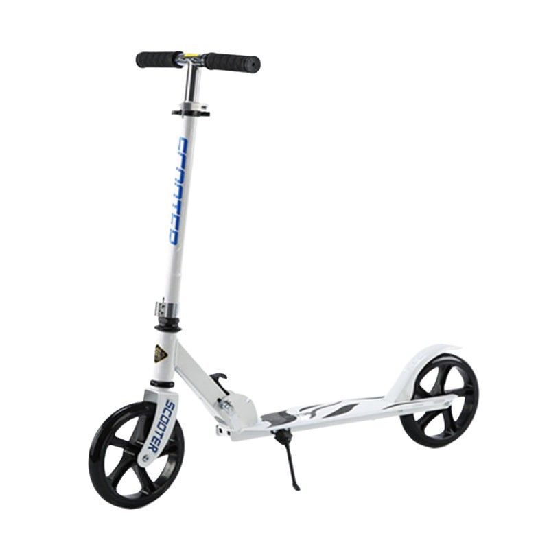 Ski Car Folding Snowboard Commuting Skateboard Two-in-One Adult Dual-use_voghion.com