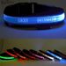 Personalized LED Collar KIPET By PawParty Store_voghion.com