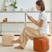 Entryway Soft Cushion Shoe Changing Home Doorway Sofa High-End Long Internet Celebrity Fitting Room Makeup Stool_voghion.com