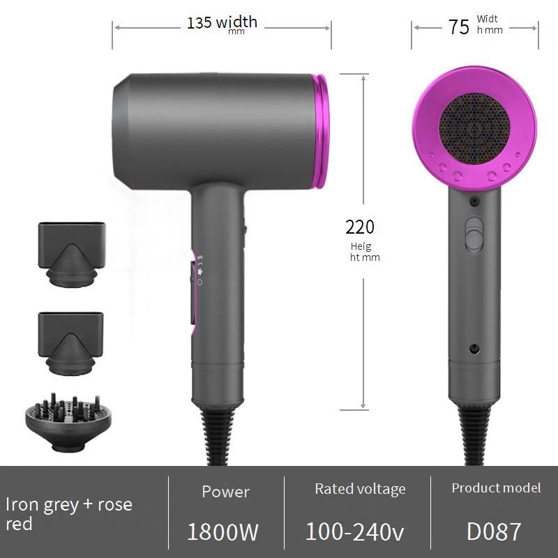 Professional Ionic Hair Dryer With Negative Ion Technology, 1600W Fast Drying, Dual Voltage (110V/220V), Foldable Design_voghion.com