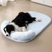 New Cooling Summer Ice Bean Breathable Cool Pet Mat Dog Cat Bed_voghion.com
