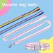 New Nylon Adjustable Collar Small Medium Dogs Pet Multicolor Rainbow Chain Single Rope Dog Walking Leash_voghion.com