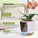 2 Stück Orchideentöpfe mit Löchern zum Umtopfen, Blumentopf aus Kunststoff, Orchideentöpfe mit Innentopf, selbstbewässernde Pflanzgefäße mit Injektionsfunktion_voghion.com