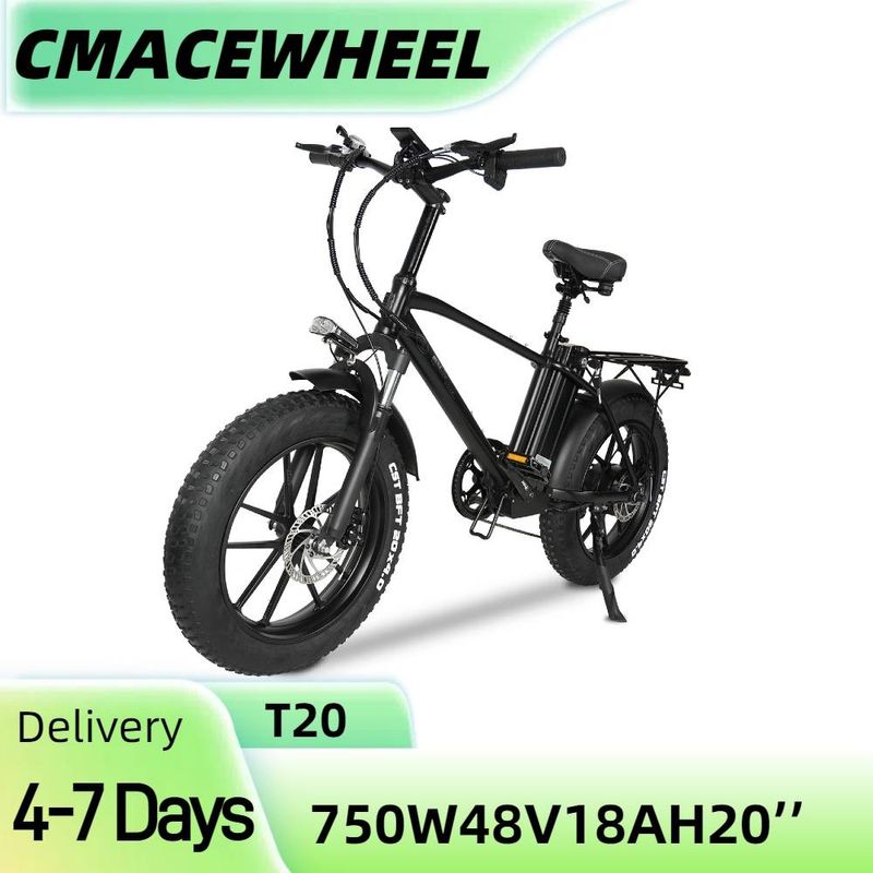 CMACEWHEEL T20 750W 20" Fat Bike 864Wh Mountain Bike Elettrica Cargo E-bike Batteria 48V 18Ah_voghion.com