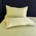Class A Tencel Summer Cool Feeling Pair Double-Sided Ice High-Count Solid Color Pure Silk Light Luxury Pillowcase_voghion.com
