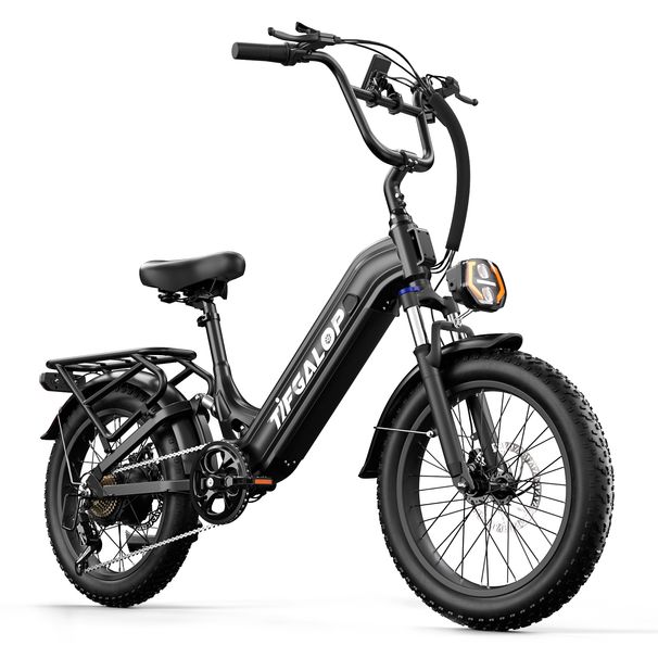 Tifgalop XC20 Electric Bike For Adults, 70NM 250W Motor, 48V 20AH Battery_voghion.com