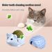 Pet mint ball, gnawing toy, hedgehog, tickling device, cat, licking, fun while eating, playing, having fun, relieving_voghion.com