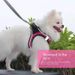 Dog Chest Harness Reflective Comfort Vest Style Dog Walking Leash Small And Medium Dog Mesh Chest Harness Leash_voghion.com